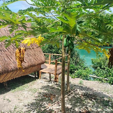 Riu Del Mar Hostel Dauis エクステリア 写真